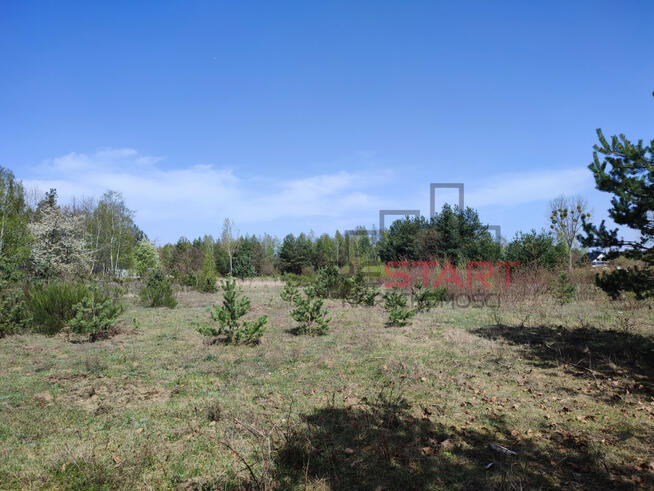 Działka inwestycyjna Piotrkowice gm. Żabia Wola,