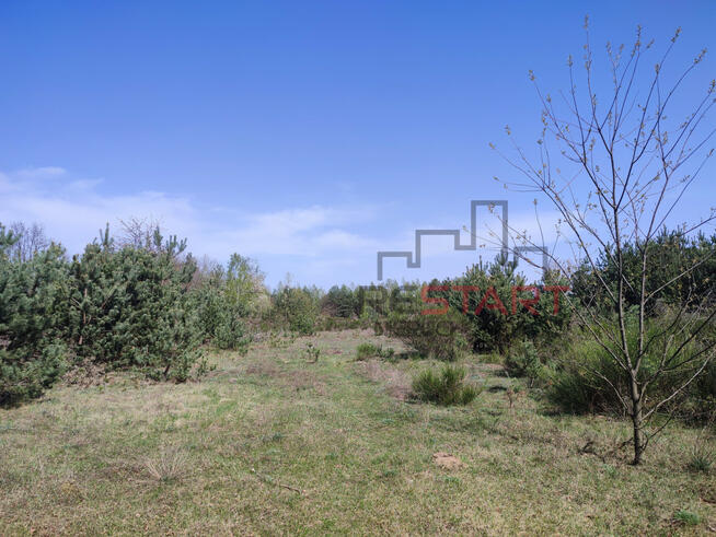 Działka inwestycyjna Piotrkowice gm. Żabia Wola,