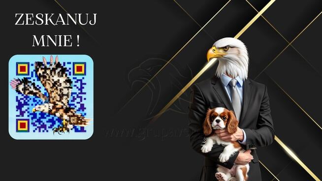 Zbuduj swoją przyszłość.