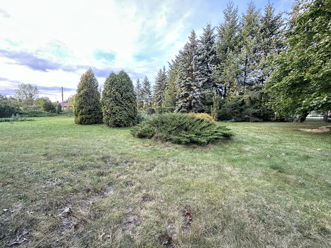 Zbuduj swoją przyszłość.