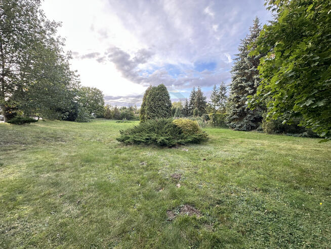 Zbuduj swoją przyszłość.