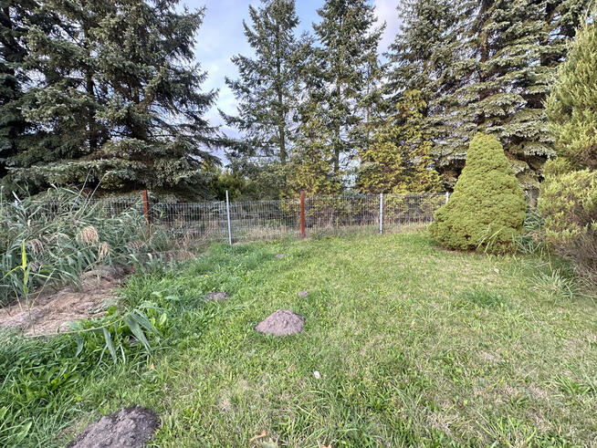 Zbuduj swoją przyszłość.