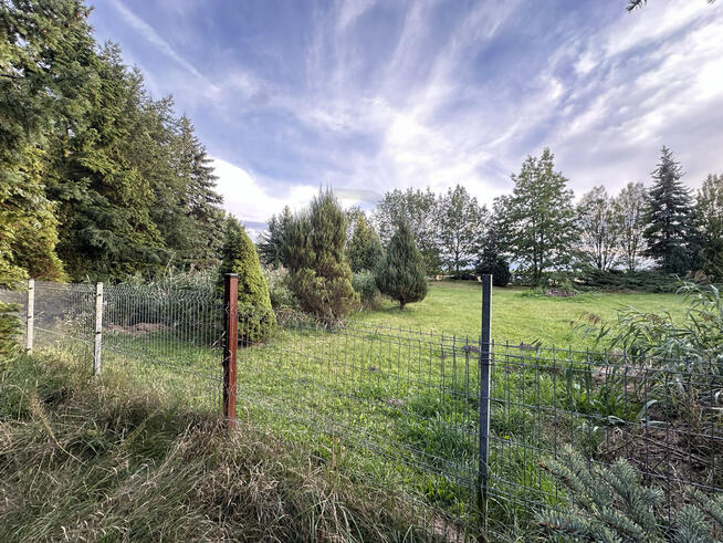 Zbuduj swoją przyszłość.