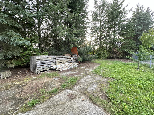 Zbuduj swoją przyszłość.