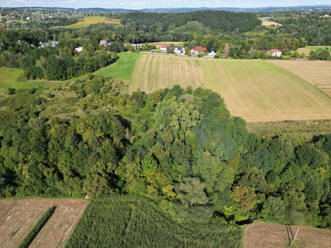 Działka rolno-budowlana Lichwin gm. Pleśna