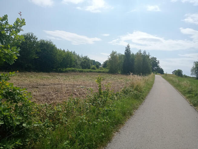 Działka budowlana Grybów, Czerwona Góra