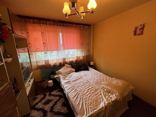 Na sprzedaż dom z dużą działką – Wojcieszków