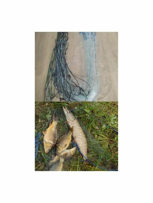 Sieci rybackie wonton drgawica włok