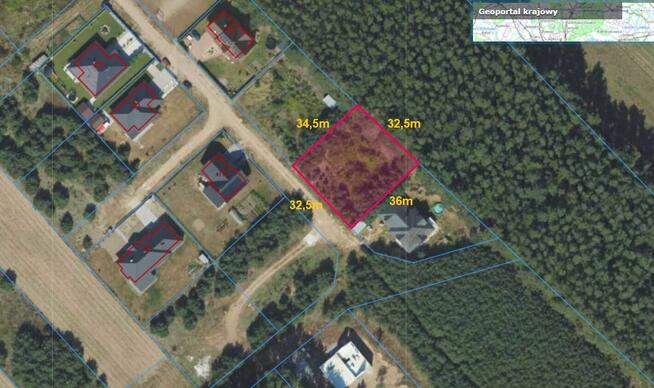 Działka ze ścianą lasu, Podzamek Golubski