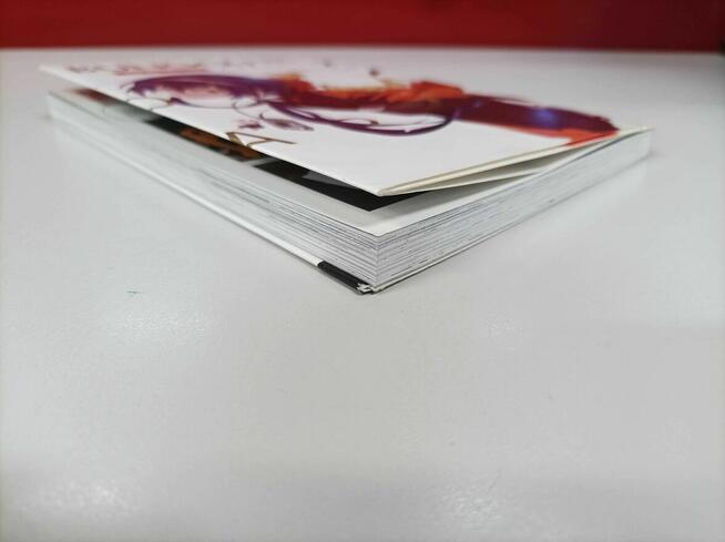 Bungou - Stray Dogs - Dead Apple - Tom 2 - Waneko - Manga