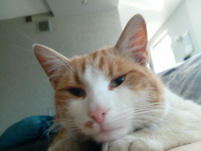 Poznam realną kobietę