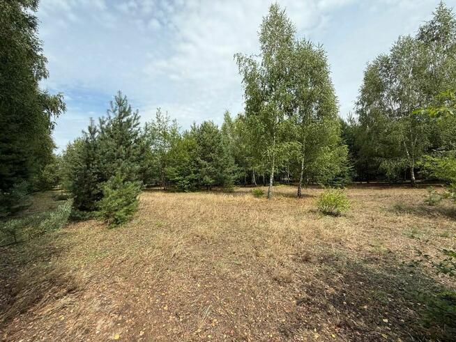 Urokliwa działka przy lesie - idealna pod zabudowę!