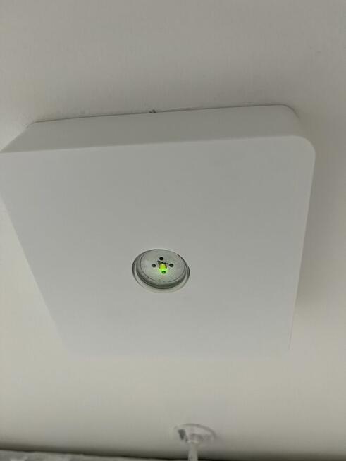 Obraz olejny z ramą drewnianą