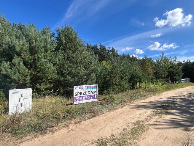 Działka ze ścianą lasu, Podzamek Golubski