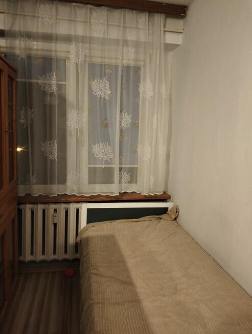 Wynajem - czyste, słoneczne, zadbane mieszkanie 2 pok.