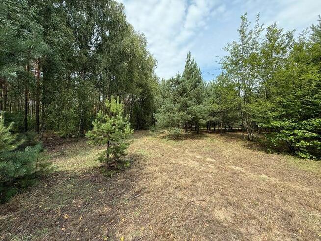 Urokliwa działka przy lesie - idealna pod zabudowę!