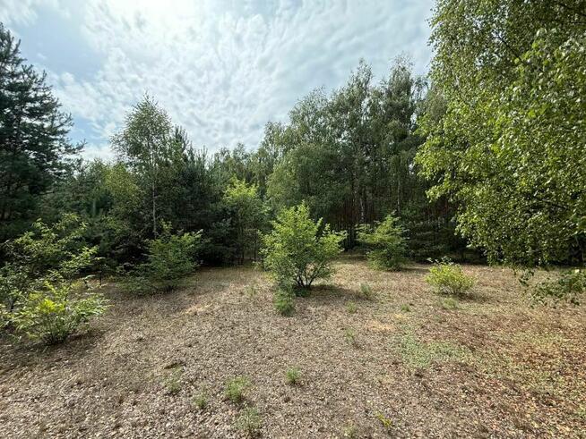 Urokliwa działka przy lesie - idealna pod zabudowę!
