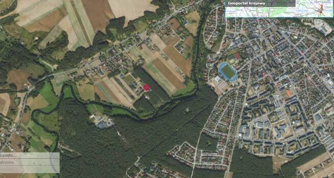 Działka ze ścianą lasu, Podzamek Golubski