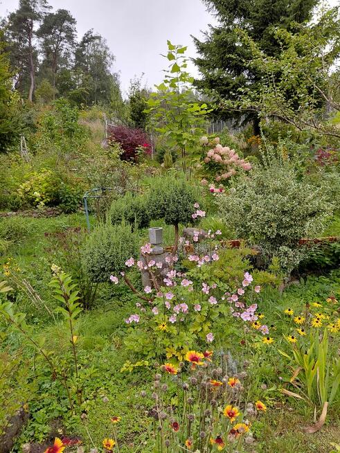 Sprzedam lub zamienię dom 81m2 na wsi na mieszkanie w mieści