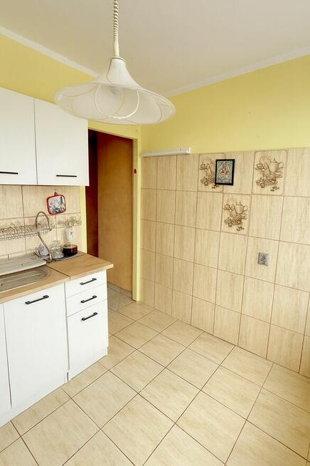 Na wynajem 2 pokoje Zazamcze