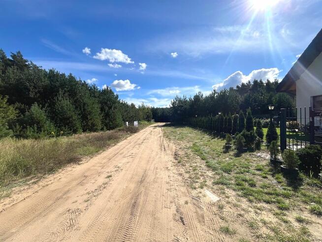 Działka ze ścianą lasu, Podzamek Golubski