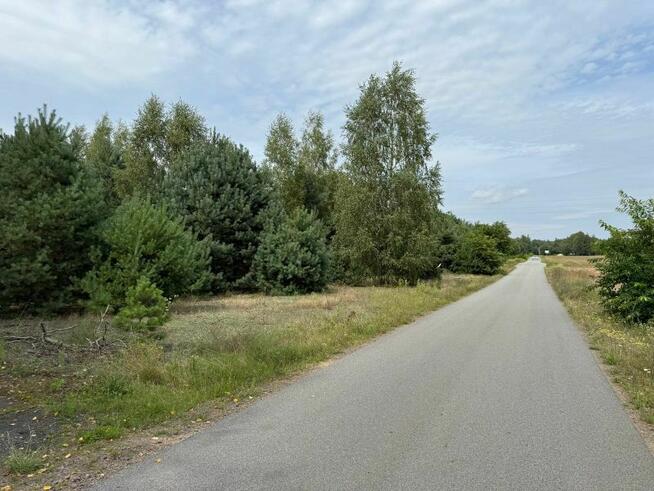 Urokliwa działka przy lesie - idealna pod zabudowę!