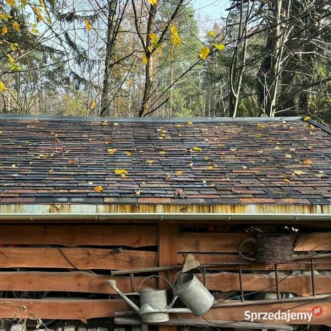 Płytki Łupek Multicolor Mushroom 30x15x0,7-1,2 cm