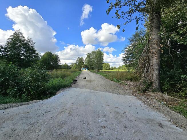 Siedlisko w Żurawińcu, gm. Ostrówek