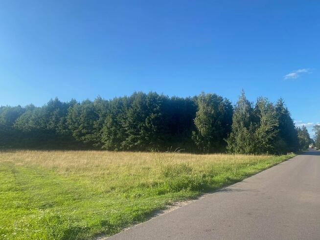 Okazja, Działka Mazewo Dworskie B z dużym potencjałem