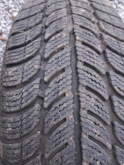 Opony zimowe Dębica 15