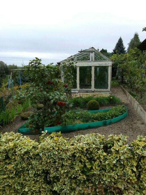 Działka rekreacyjna ROD