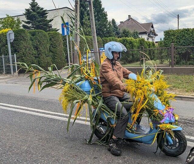 Pilnie poszukuje kobiety do stałego związku od 25 do 48 lat.