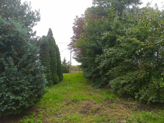 Dom w cenie mieszkania okazja Do końca Listopada Super Promo