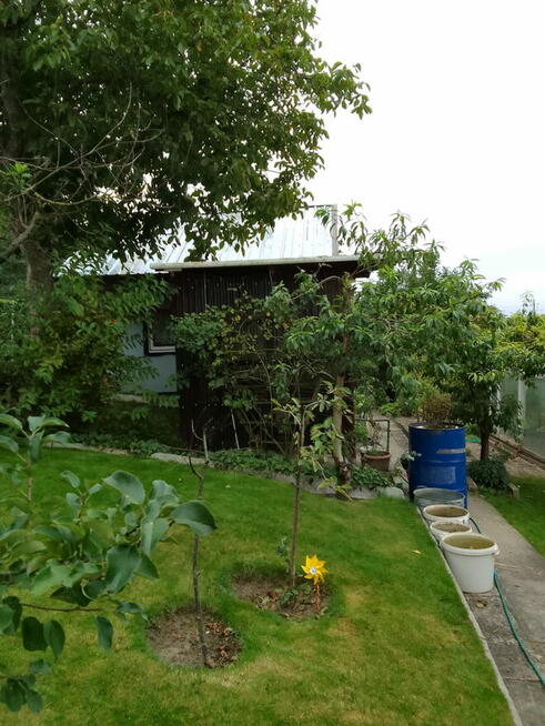 Działka rekreacyjna ROD