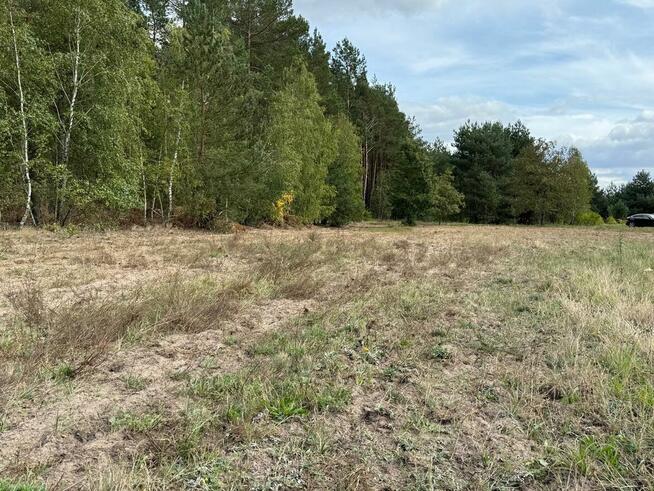 Duża działka pod zabudowę przy lesie