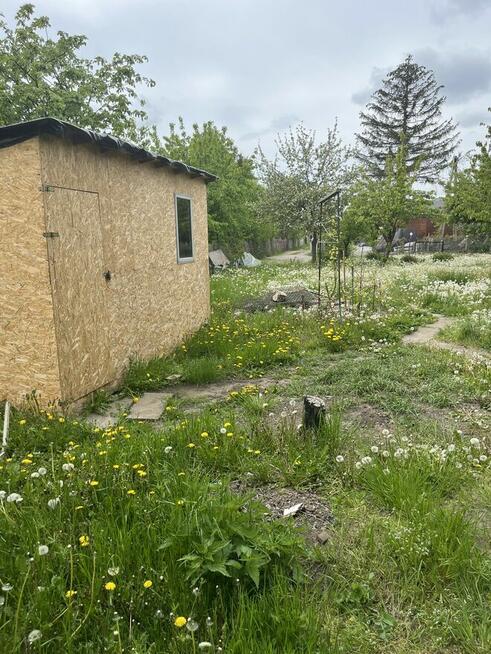 Działka ROD Gdańsk Olszynka