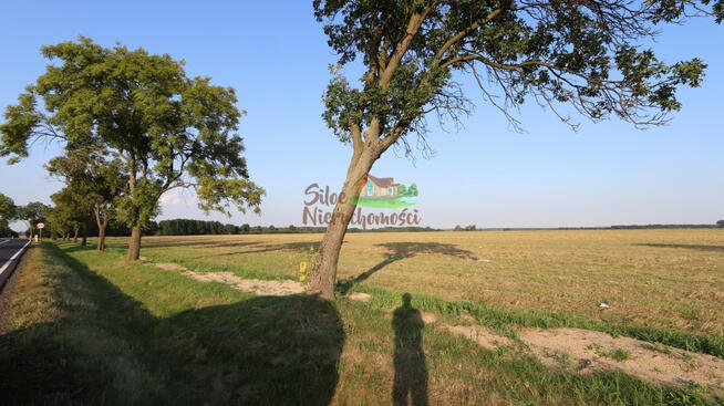 Działka rolna Kłębanowice gm. Radwanice,