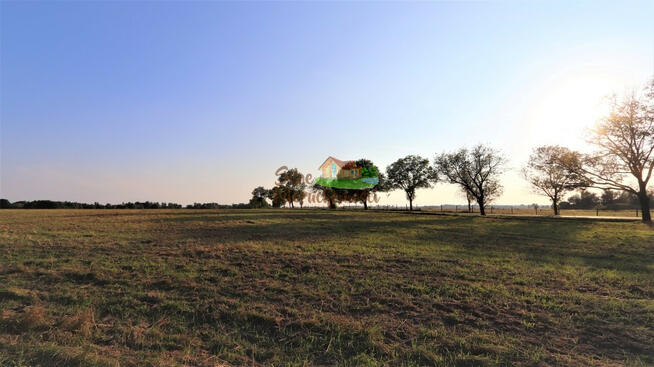 Działka rolna Kłębanowice gm. Radwanice,