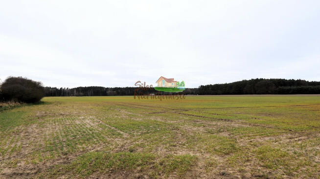 Działka przemysłowa Wilków gm. Głogów, Pokątna