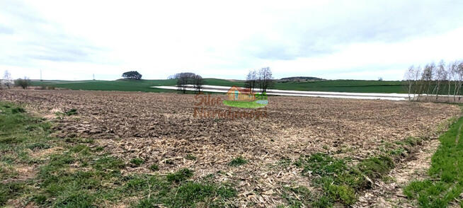 Działka przemysłowa Jaczów gm. Jerzmanowa,