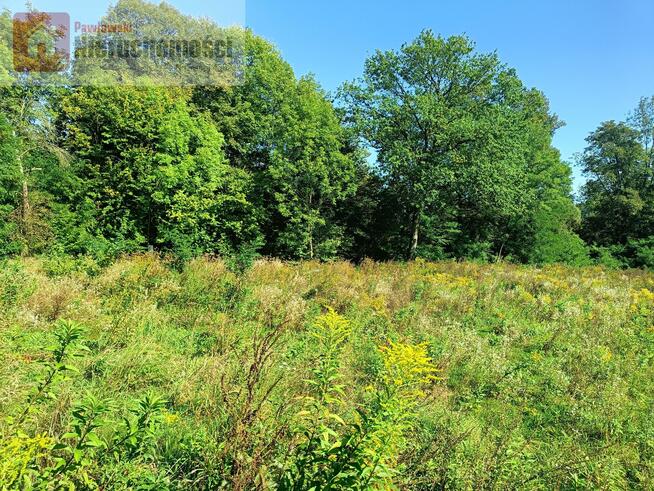 Działka budowlana Zygodowice gm. Tomice