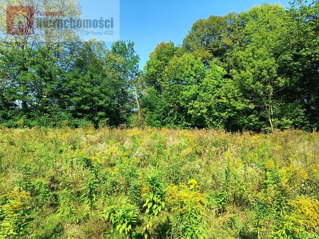 Działka budowlana Zygodowice gm. Tomice