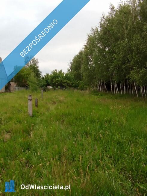 DOM NA WSI – SAD, ZIELEŃ, PRZESTRZEŃ