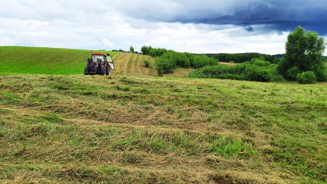 Działka z Warunkami Zabudowy 22,45 ha – Żabin, gm. Banie Mazurskie