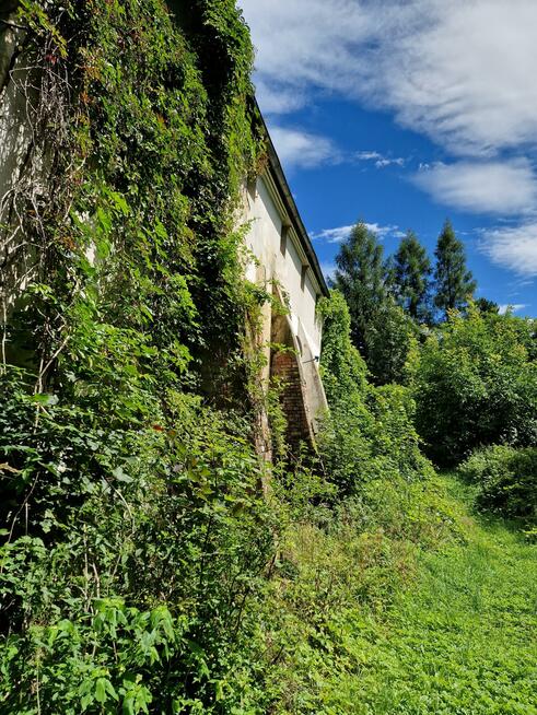 Dom Podlesie gm. Głuchołazy