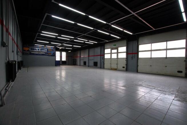 Lokal użytkowy Kielce