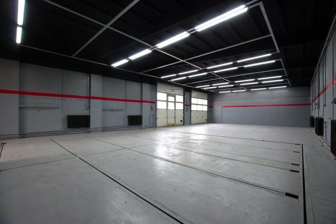 Lokal użytkowy Kielce