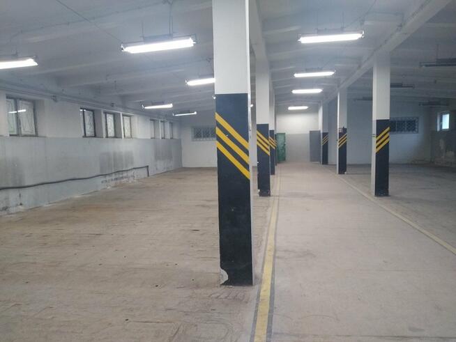 Lokal użytkowy Kielce Czarnów, Kolberga