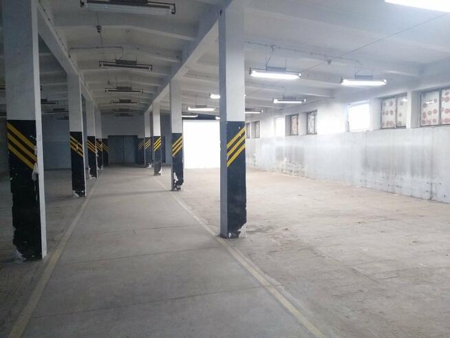 Lokal użytkowy Kielce Czarnów, Kolberga