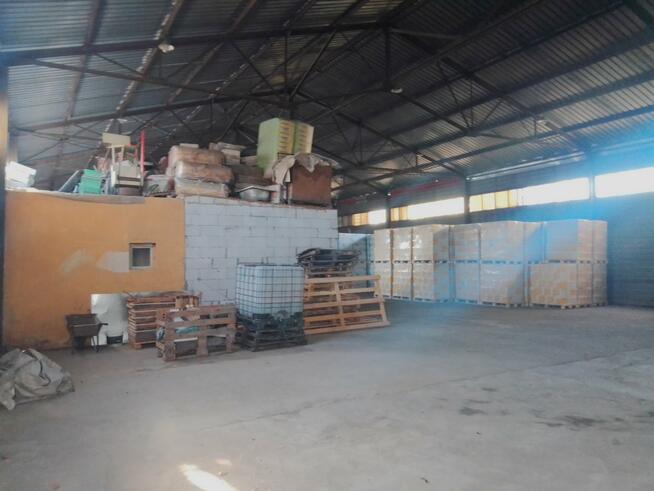 Lokal użytkowy Kielce Herby